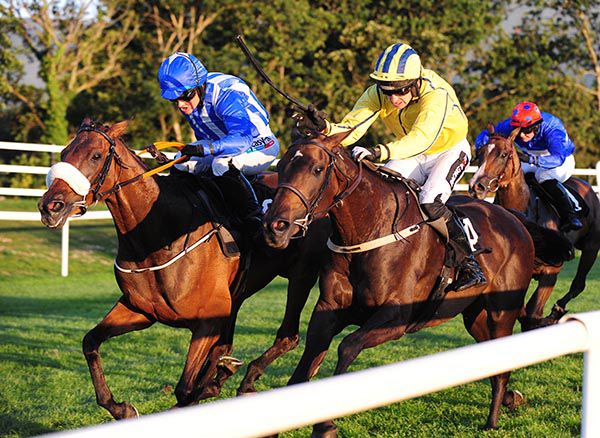 Laoch Liam (noseband) is ridden to the front by Katie Walsh, with eventual third Sapphire Lady also pictured