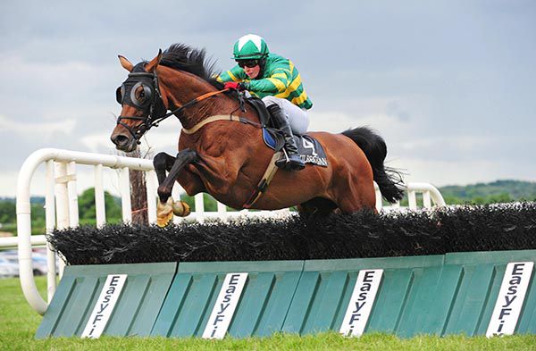 Whatever It Takes and Donie McInerney