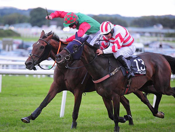 Phil's Magic (Donagh Meyler, rail) just touches off Mr Boss Man (Robbie Colgan)