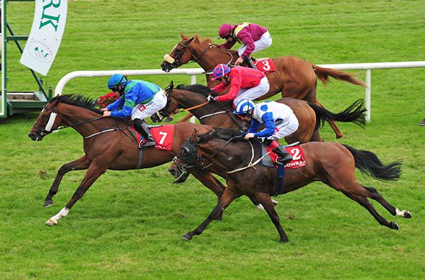 Big Ego keeps on best in Gowran