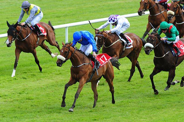 Two For Tea is ridden out by Colm O'Donoghue