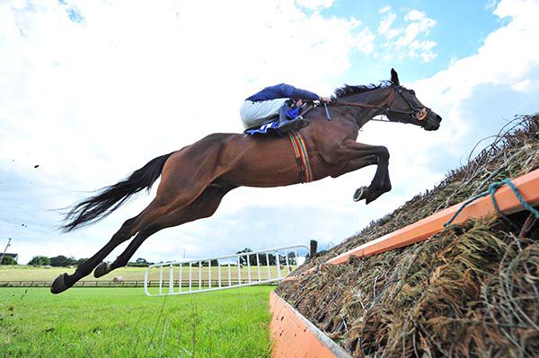 The West's Awake and Paul Townend