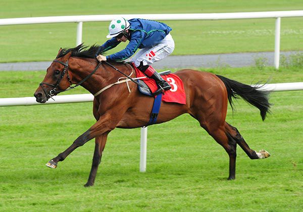 Insayshable powers home in Gowran