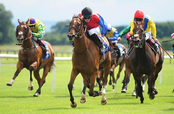 Black cap Sean Davis wins another on Tom Dooley