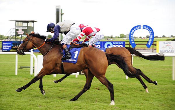 Landsman (near side) beating Political Policy at Fairyhouse