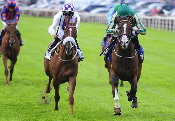 Full Court Press (right) sees off Slaney Street 