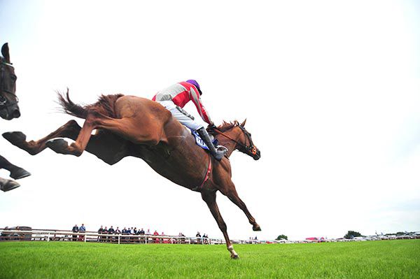 Top Othe Ra clears the last under David Mullins