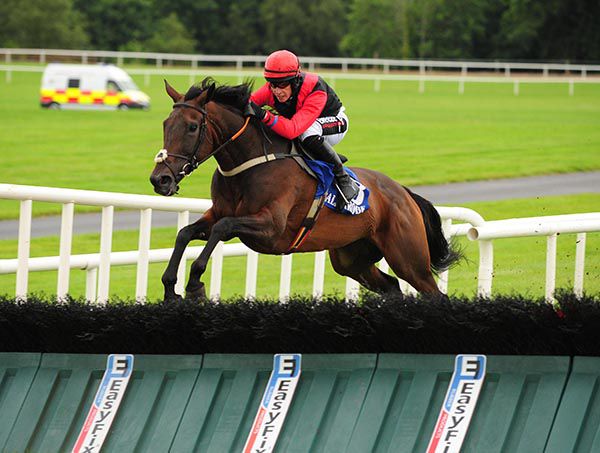 Hello Sweetie clears the last under JJ Slevin