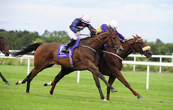 Magwadiri (nearside) and Wayne Lordan edge out Cloudy Miss 