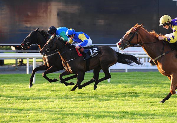 Set To Fire, centre, comes to collar Shamar, far side