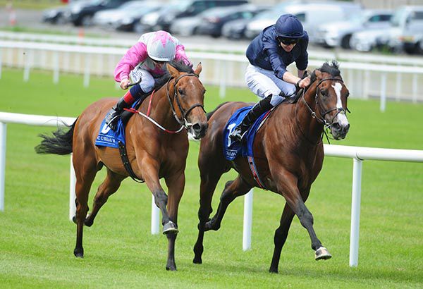 Fleet Review (right) winning at the Curragh last summer