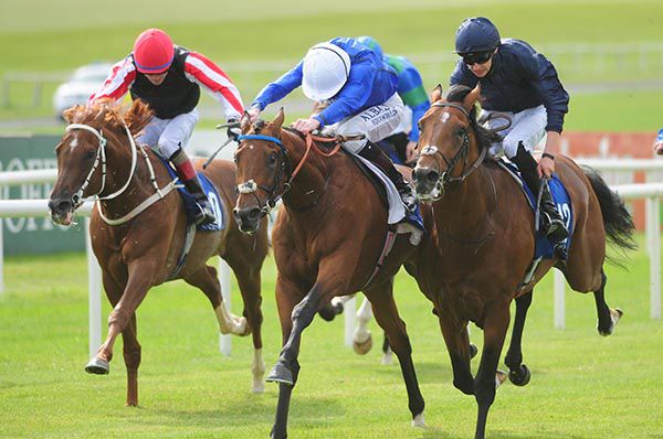 Kevin Manning (white cap) wins on Ringside Support from World Stage (Donnacha O'Brien, near) and Sovereign Hill