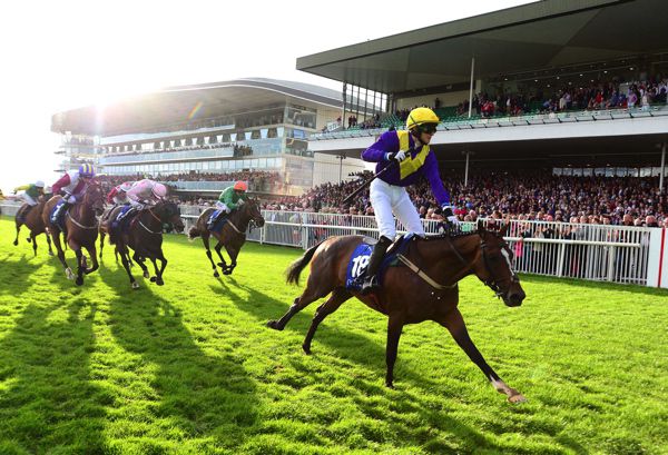 Whiskey Sour will be attempting to make it a big race Galway double tonight