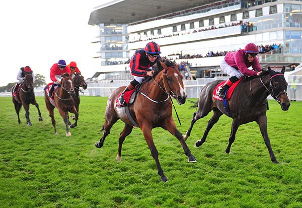 Perfect Soldier (Sean Davis) holds on from Giorni Felice (right, Robbie Downey)