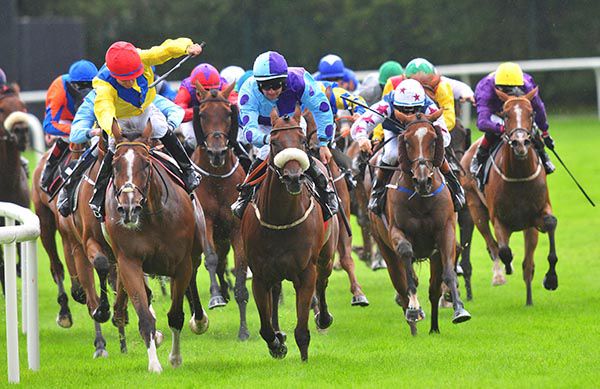 White cap red stars Sean Davis coming with his winning run on Remarkable Lady