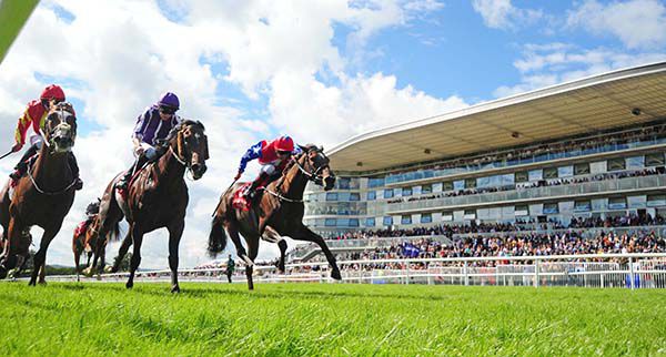 Deep Breath (right) stays on best to beat Mount Wellington and Sebastiano Ricci (left)