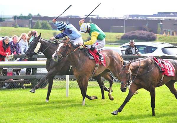 Athenry Boy (inside) is ridden out by Wayne Lordan to beat Tudor City