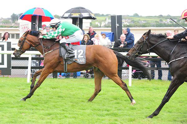 Yulong Gold Fairy approaches the winning post