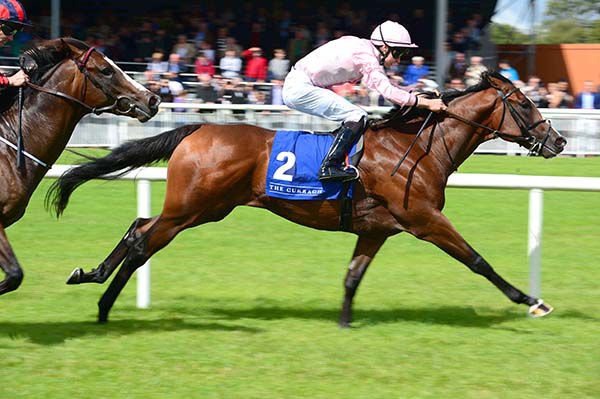 Fleet Review and Donnacha O'Brien