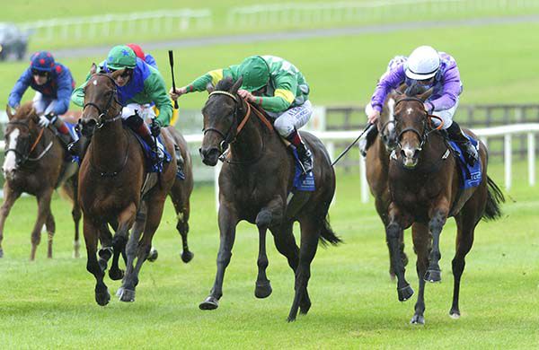 Kailee (centre) is ridden out by Pat Smullen to beat Bay Of Skaill (white cap)