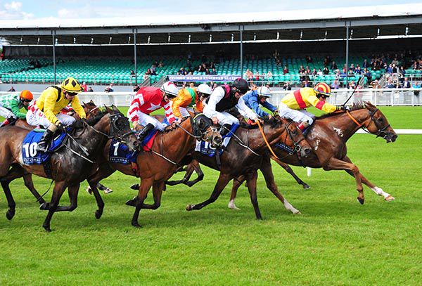 Alans Pride leads them home under Gary Halpin