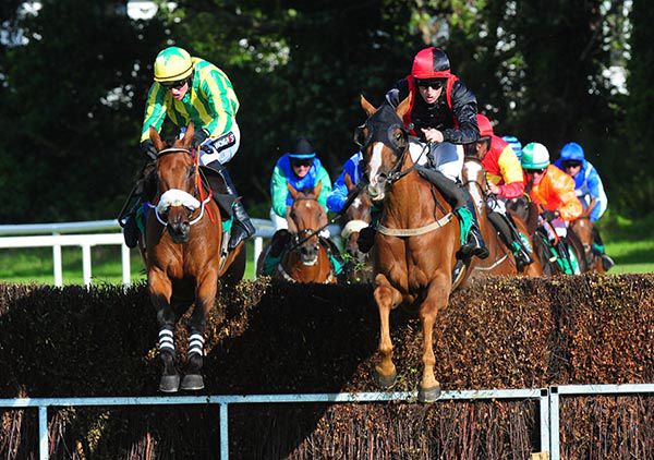Allied Victory and Neddyvaughan (blinkers) jump the last together