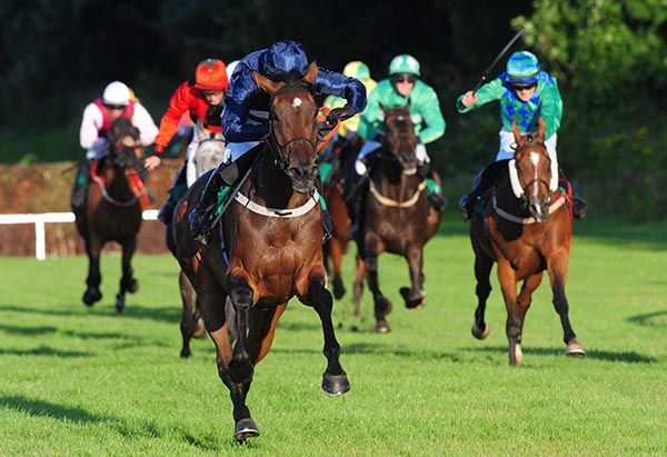 Dorkas is pushed out by Brian O'Connell