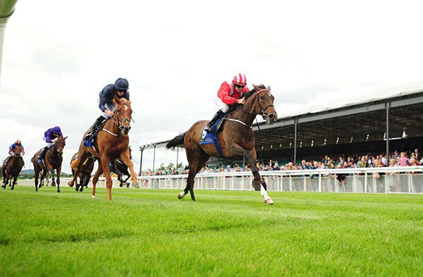 Muirin seen here winning at the Curragh