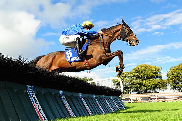 Youngnedofthehill clears the last under Roger Loughran