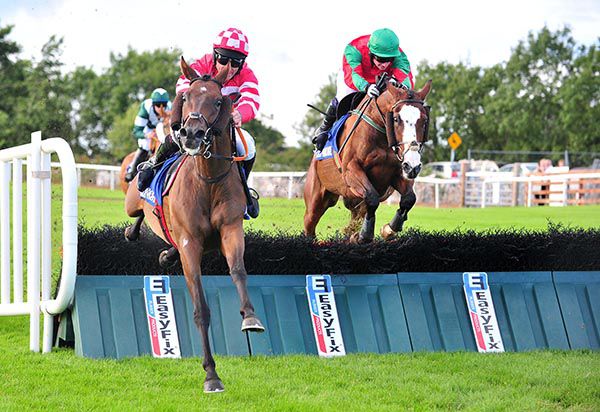 Walkabout leads The Irregular over the last