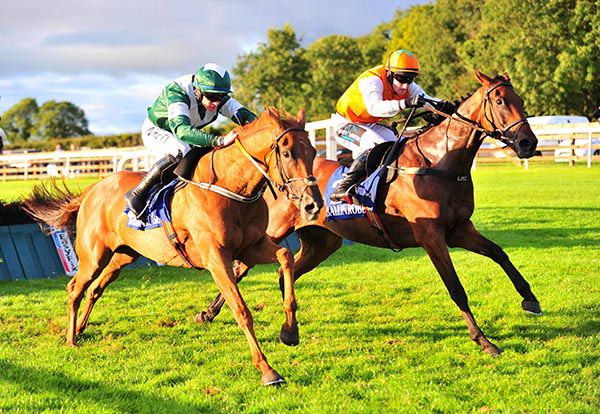 Snugsborough Benny (outside) and Rosie Alice race away from the last