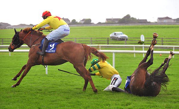 Balinaboola Lass crashes out at the last leaving Touch Of Gold in front