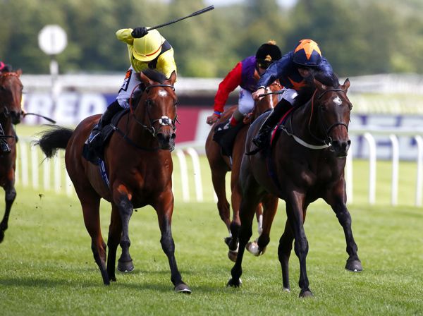 HEY GAMAN (right) winning in Listed company at Newbury in 2017