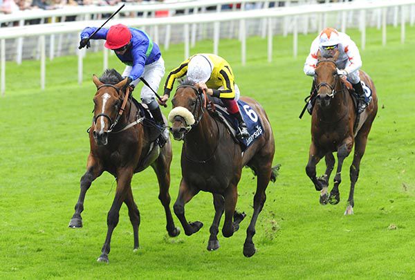 James Garfield (noseband)