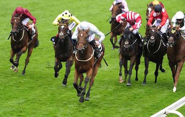 Threading leads them home under James Doyle