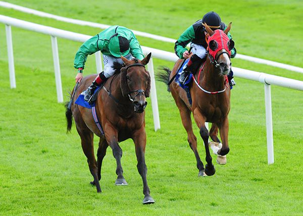 Ojinjintka is ridden out by Pat Smullen, with eventual third Greenpanda on her inner