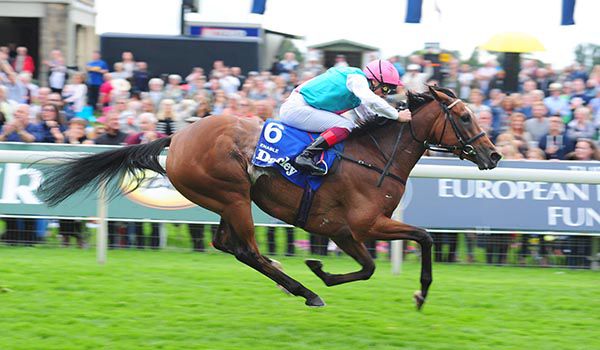 Enable is the star attraction on day two at York