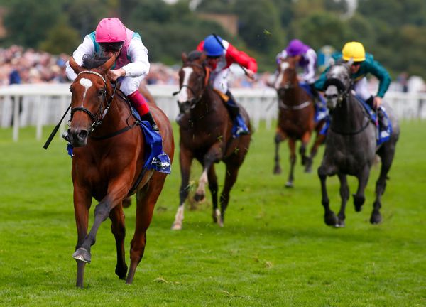 Enable