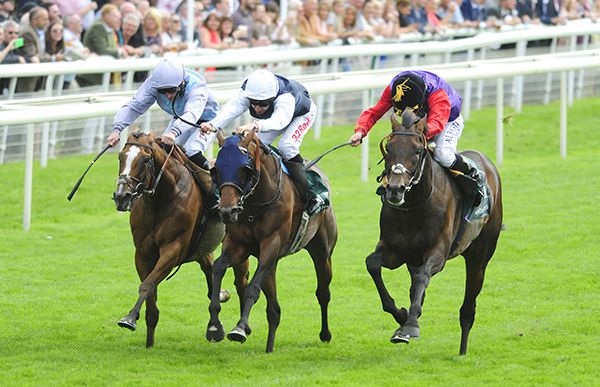 Montaly and P J McDonald (left) beats Dartmouth (right) and St Michel (centre) for trainer Andrew Balding 