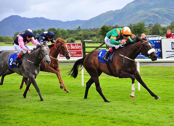 Bella Estrella wins under Pat Smullen