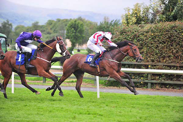 Optical Confusion (Jamie Codd) races on from All Good Things (John Barry)