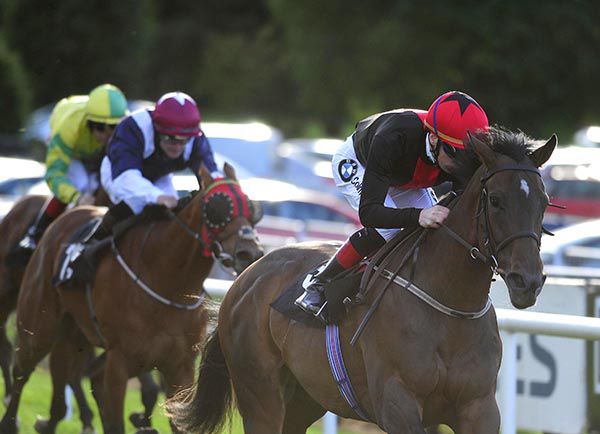 Haqeeba and Declan McDonogh