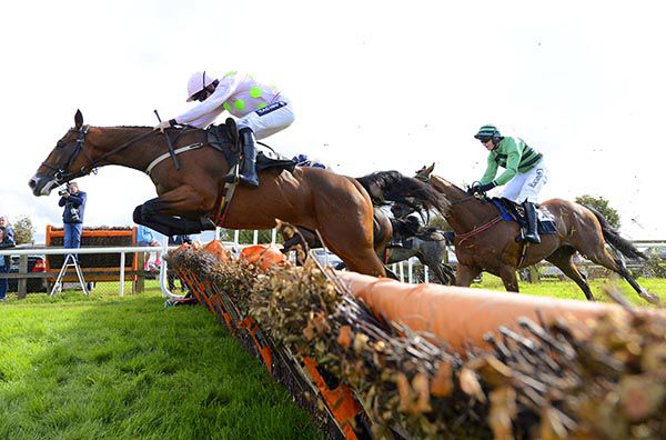 Low Sun and Ruby Walsh