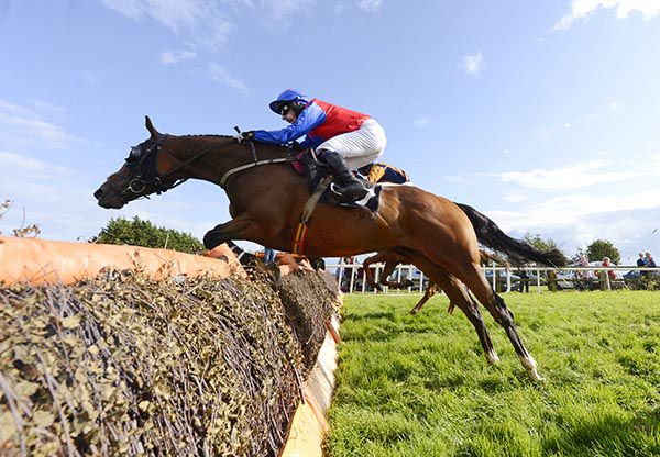 Mezajy and Denis Hogan