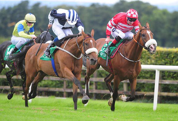 Lucca and Ronan Whelan beating High Expectations (right)