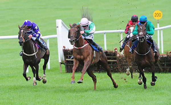 Kilbarry Marien (centre) stays on best to beat Delayed Eloquence (right) and Jazz Mine 