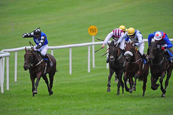 Blixt is ridden out by Niall Kelly, with runner-up Small World (yellow cap) in behind
