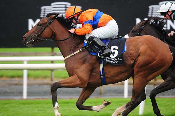 Damselfly leads home her rivals under Wayne Lordan