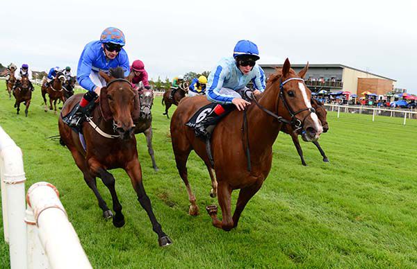 Focus Of Attention (white face) leads home Shinko Princess