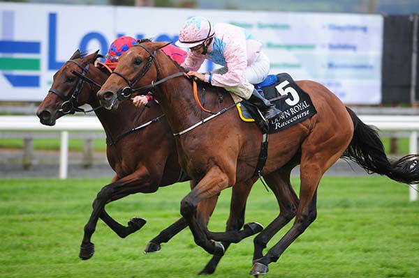 Magic Sea (nearest) just gets the better of Just Sherry (inside)